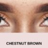 before chestnut brown dark 4 | Elegant Optic