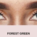 before forest green dark 4 | Elegant Optic