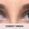 before forest green light 5 | Elegant Optic