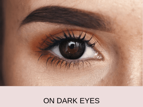 ebony dark dark 2 | Elegant Optic